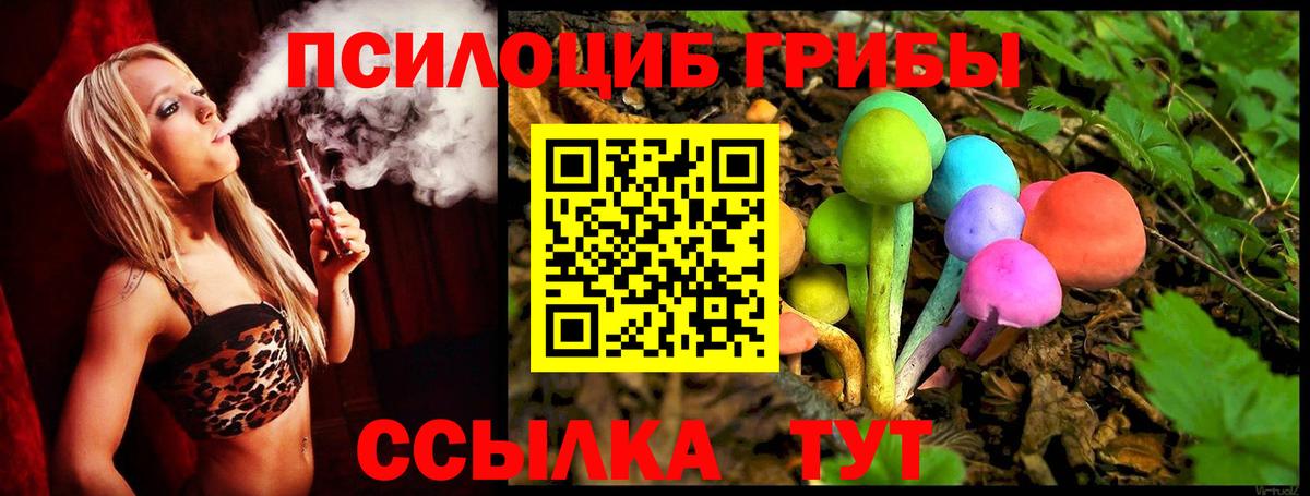 Псилоцибиновые грибы мухоморы  даркнет сайт  Вход с VPN  Димитровград  Псилоцибиновые грибы Cubensis 