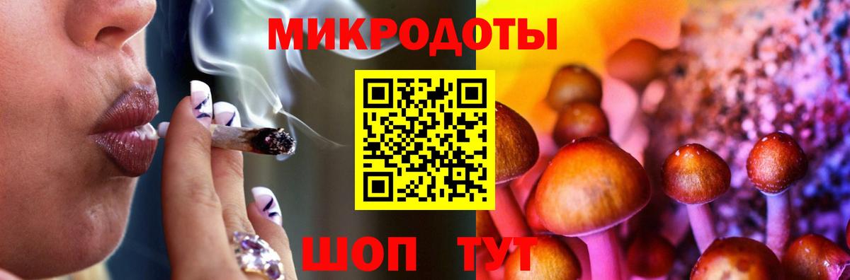 Псилоцибиновые грибы GOLDEN TEACHER Димитровград