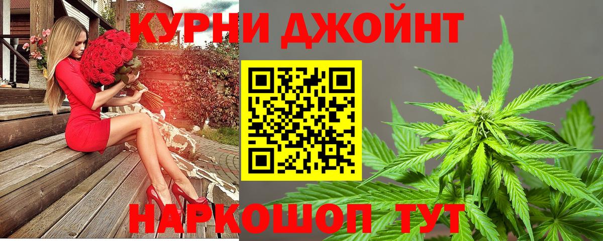 Бошки марихуана планчик  Канабис план  Каннабис планчик  Вход с VPN  Бошки Шишки Ganja  Димитровград 